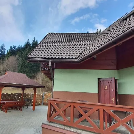 シャレー Gorskie D3 *